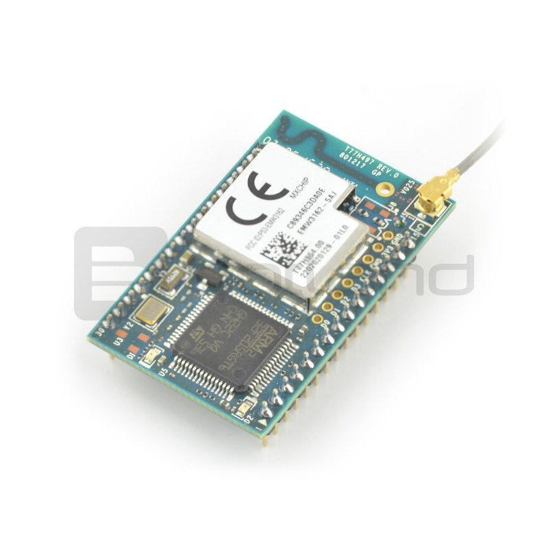 EMW3162 Cortex M3 WiFi module with external antenna