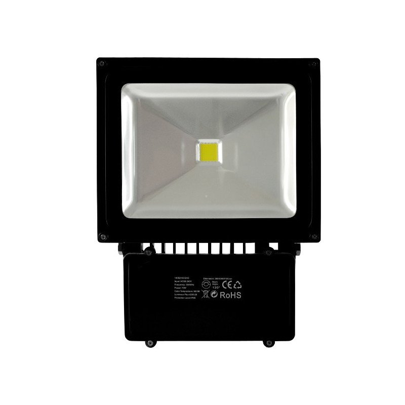ART LED outdoor lamp, 70W, 6300lm, IP66, AC80-265V, 4000K - white neutral