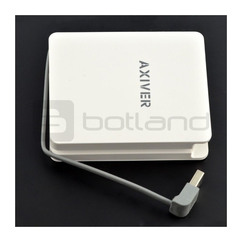 Mobile Battery PowerBank Axiver RP1000 10000mAh