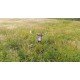 DJI Phantom 4 Pro+ DJI Phantom 4 Pro+