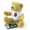 Teddy bear Babbage with the logo of the Raspberry Pi - zdjęcie 2