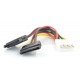 Molex power cord - 2x SATA - 15cm Molex power cord - 2x SATA - 15cm