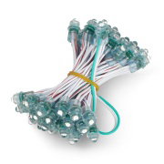 Pixel chain - 50x LED 5mm green