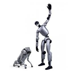 Humanoids and Robot Dogs