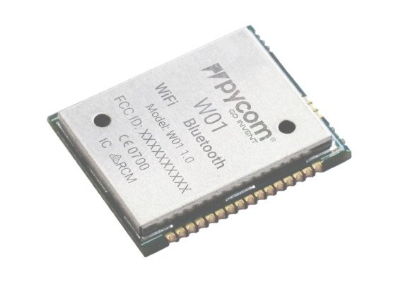 PyCom W01