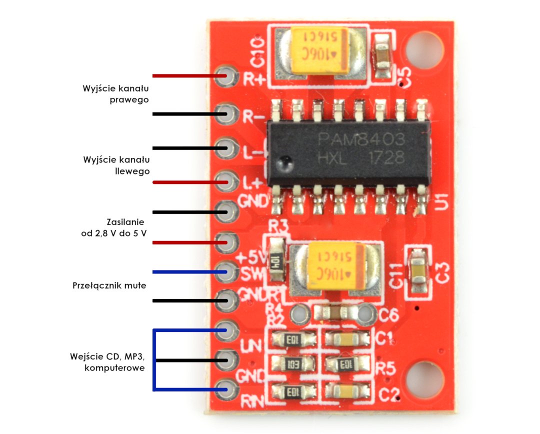 Wyprowadzenia wzmacniacza PAM8403