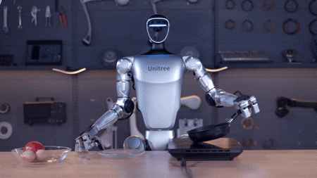 Humanoid robot - Unitree G1